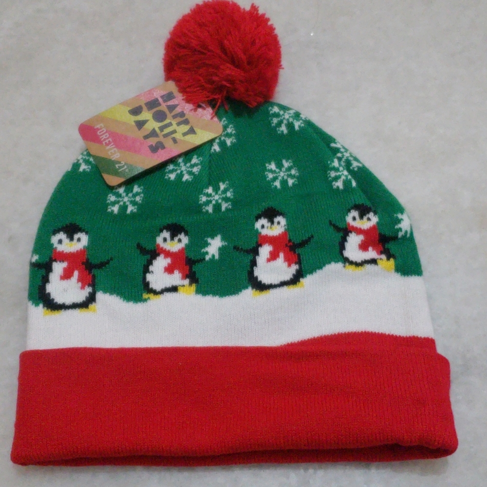 Chritsmas hat
